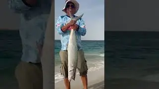 Huge Spanish mackerel #fishing #fishing #okuma #beach #fish #beachfishing #doha