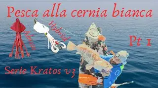Alla cernia bianca piace la serie kratos V3 (prima parte)