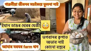 মৰমৰ farm খন আজি দেখুৱালো।কনী ধেৰ পালো আজি।কৰি খাব জানিলে অভাব নহয় কোনো দিনে।#assamesevillagelife