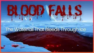 Bloodfalls Explained: Antarctica&rsquo;s Red Glacier Mystery || bloodfalls phenomenon || Hidden ecosystems