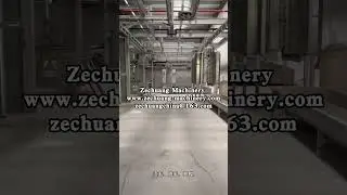 Pig hygiene inspection automatic line, daytime deep processing line, pig pre stripping line