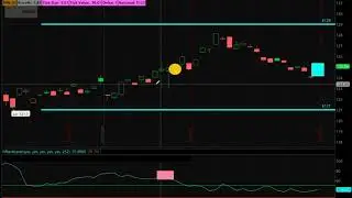 FXB Trade (Option Alert)