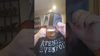Brew to Review - Fat Orange Cat Brew Co - All Cats are Gray in the Dark White Stout Review