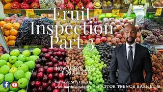 Fruit Inspection Part 3!