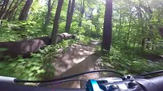 Maple Hill Trail - West Downhill Section - Clockwise