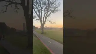 pov: afternoon sunset walk in Parque Barigui