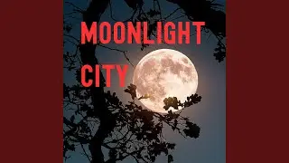 Moonlight City