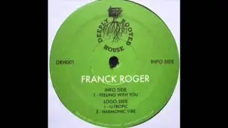 Franck Roger - Harmonic Vibe [DRH001]