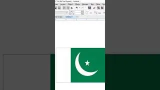 Pakistan flag in Corel DRAW #pakistan #flag #pakistanflag #14august #viralshorts #viralvideo