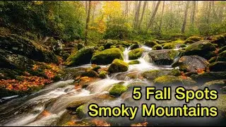 After 4 Days in the Smokies, I Found These 5 Photography Gems