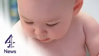 Born to be fat? | Channel 4 News