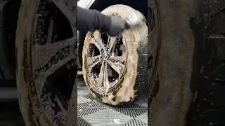 Pick up this amazing wheel and tire cleaning kit before it&rsquo;s gone!
