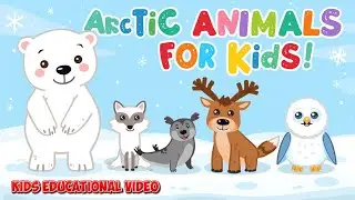 Most Popular Arctic Animals | Kids Educational Video