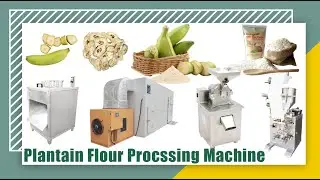 Plantain Processing Machine Banana Flour Manufacturing Process