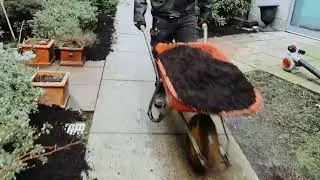 🎥 Come Be a Fly on the Wall: Large Strata Mulch Install in Downtown Vancouver! 🪰🌿