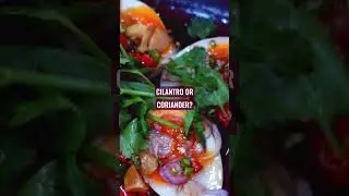 Cilantro vs Coriander, what is the difference?