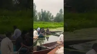#floatingmarket #srinagar #dallake