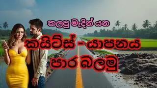 කයිට්ස් සිට යාපනය දක්වා බස් ගමන Travel kayts to Jaffna