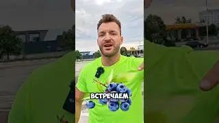 ЧЕРНИКА ПОЛЬЗА, ЧЕМ ЗАМЕНИТЬ?#черника #ягоды #смородина #ирга #кизил