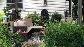 Chaos Gardening & Clearance Plants, that’s how we roll💐💛💐