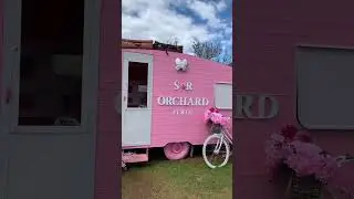 Pink Caravan#Cherry Blossoms Festival# Perth-Western Australia# 9/9/22