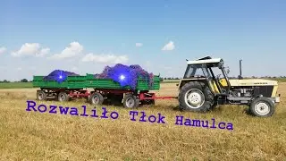 Załadowany aż coś Strzeliło!! Ursus 1222. Przyczepy d47 10 ton