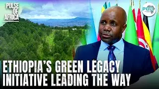 &ldquo;The green initiative of #Ethiopia is a very good example&rdquo;  -  Harsen Nyambe