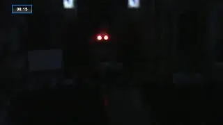 Transmisiune &icirc;n direct din Biserica Romano-Catolică Sf&acirc;nta Maria - Dudeștii Vechi