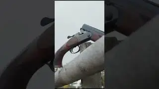 The Blaser F16
