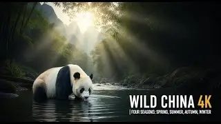 Wildlife of China Animals in 4K | Relaxing Piano Music & Breathtaking Nature Scenery