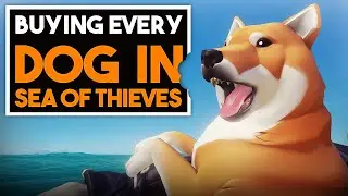 BUYING EVERY DOG IN SEA OF THIEVES
