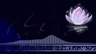 Spring Flower