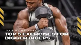 My Top 5 Exercises for Bigger Biceps