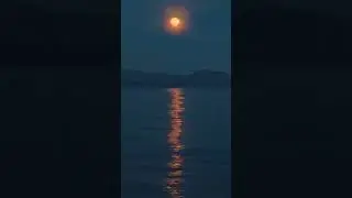 La Planète En larmes 