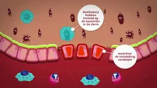 De werking van antibiotica