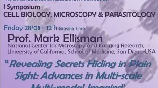Revealing Secrets Hiding in Plain Sight: Advances in Multi-scale Multi-modal Imaging.