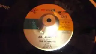 the bobbettes   MR JOHNNY Q
