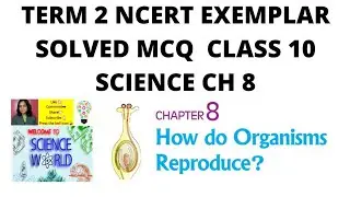 MCQ TERM 2 NCERT EXEMPLAR CLASS 10 SCIENCE CH 8
