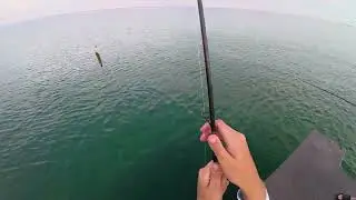 Fishing for Snapper and Sheepshead in Bradenton Fl!! #fishing #adventure #florida #beach 