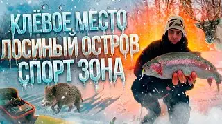 Ловля ФОРЕЛИ СО ЛЬДА. РК Клёвое Место. НА ПЛАТНИКЕ ПОЙМАЕТ КАЖДЫЙ? РЫБАЛКА 2026. В ПОИСКАХ ФОРЕЛИ!
