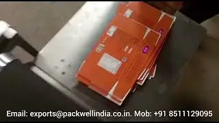 Automatic Carton Feeder for Batch Coding | Cartoon & pouch feeder machine