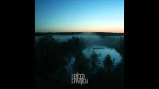 Blood Pavilion - Knives (Opinion 2013)