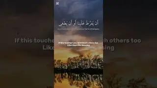 🌿 Quran Recitation for Ease #quranicblessings #quranrecitation #quranshorts #quranictranslation