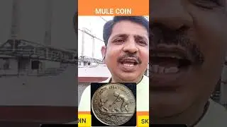 BOOK OF THE MULE COIN