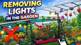Removing Lights in the Garden | #garden #lights #shooting #filming 