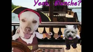 FUNNY DOG PIRATE VIDEO - FILMED IN THE FRENCH QUARTER IN PIRATE'S ALLEY!