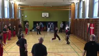 GM Roger Solar Seminar in Aarhus Denmark 2016