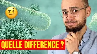 Infection bactérienne ou virale : quelles différences ?