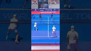Ale galen 🔥🔥 #shorts #winner #padel #video #skill #volley #reaction #backhand #shot #professional