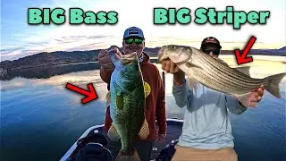 New PERSONAL BEST Largemouth AND Striper! &bull; Epic Day on Lake Mead